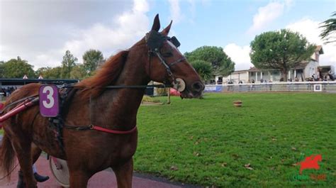 miroipmu|cheval gagnant quinté jour.
